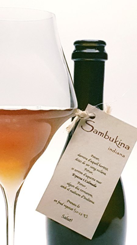 Sambukina derelicta